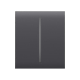Центральная кнопка Ajax CenterButton (2-gang) графит
